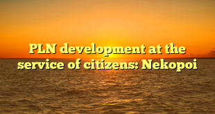 PLN development at the service of citizens: Nekopoi