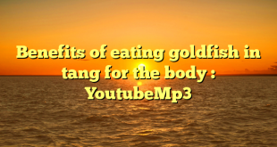 Benefits of eating goldfish in tang for the body : YoutubeMp3