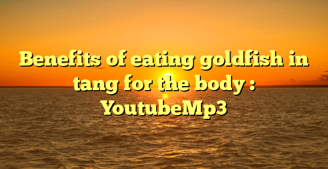 Benefits of eating goldfish in tang for the body : YoutubeMp3