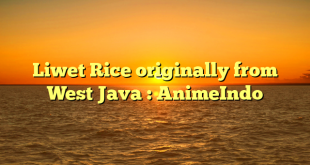 Liwet Rice originally from West Java : AnimeIndo