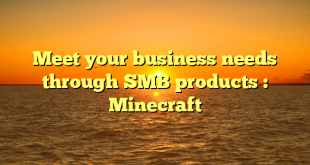 Meet your business needs through SMB products : Minecraft