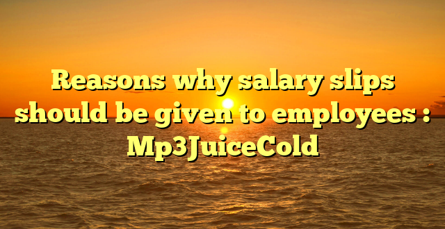 Reasons why salary slips should be given to employees : Mp3JuiceCold