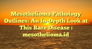 Mesothelioma Pathology Outlines: An In-Depth Look at This Rare Disease : mesothelioma.id