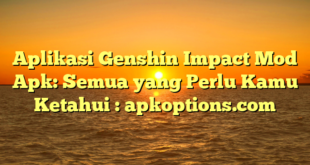 Aplikasi Genshin Impact Mod Apk: Semua yang Perlu Kamu Ketahui : apkoptions.com