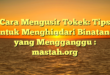 Cara Mengusir Tokek: Tips untuk Menghindari Binatang yang Mengganggu : mastah.org