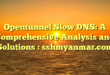 Opentunnel Slow DNS: A Comprehensive Analysis and Solutions : sshmyanmar.com
