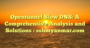 Opentunnel Slow DNS: A Comprehensive Analysis and Solutions : sshmyanmar.com